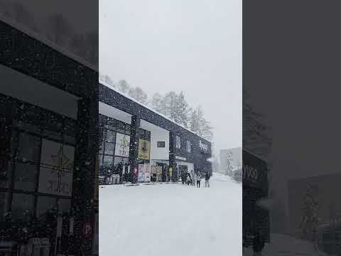 極上パウダースノーを楽しんで🏂  #竜王スキーパーク