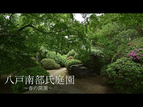 【八戸市】八戸南部氏庭園〜春の開園〜
