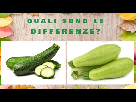 , title : 'Zucchine bianche e verdi : Quali sono le differenze?'