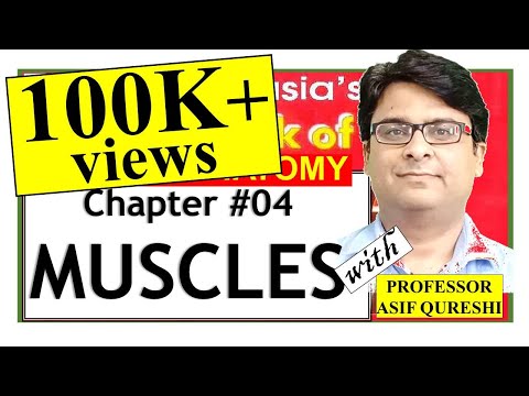 Chapter#4 | BD Chaurasia General Anatomy | Muscles | Dr Asif Lectures