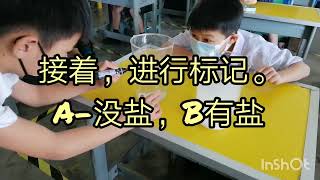 2年级科学小实验“有魔力的盐水”