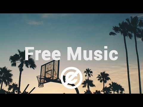 [No Copyright Music] Ehrling - Chasing Palm Trees [Tropical House] Video