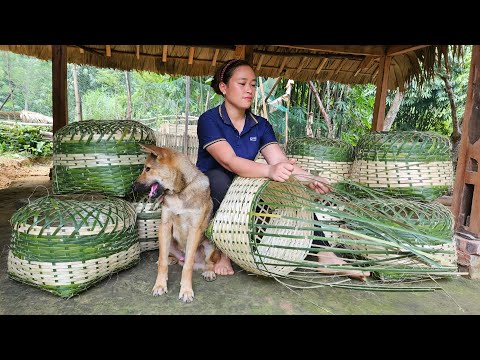 Handmade Bamboo Basket Weaving Process - Take Care Chickens, Birds, Pigs, Duck - Live With Nature