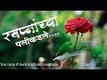 स्वप्नांच्या पलीकडले Swapnanchya Palikadle Marathi Song Status
