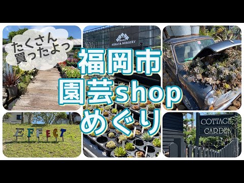 コテージガーデンのアイデア トピックス