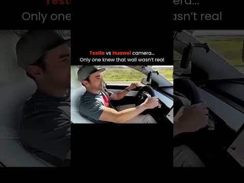 Which one's better for you? #tesla #car #shorts