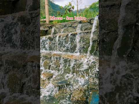 Quita Damaritas San Isidro. MACAS - Morona Santiago, Amazonía.ec.