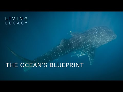 BBC StoryWorks and 2 more