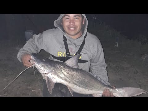 Pesca en el campo de las papas pavon😁