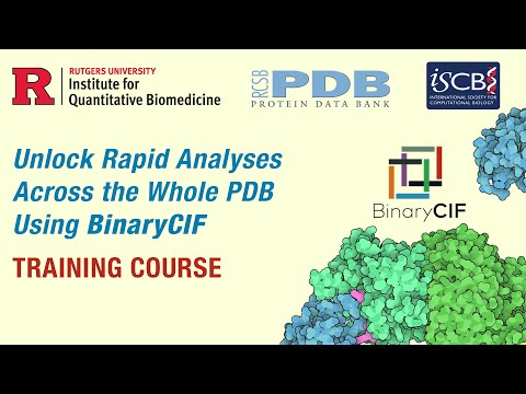 Unlock Rapid Analyses Across the Whole PDB Using BinaryCIF