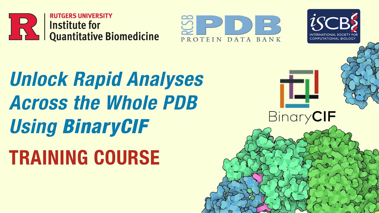 Unlock Rapid Analyses Across the Whole PDB Using BinaryCIF