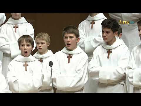 PCCB - Ego gaudebo in Domino (2010)