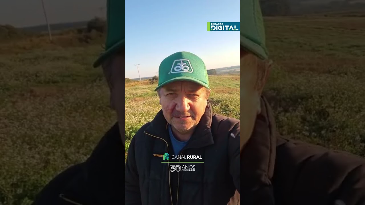 “Não queremos dinheiro de graça, queremos condições de pagar nossas dívidas”, diz produtor