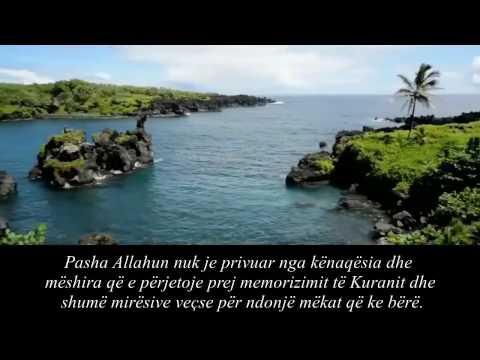 Kërkoni falje Zotit tuaj - Shejh Shenkiti