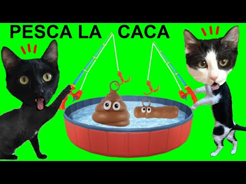 ¡Pesca y atrapa la caca de juguete! Juegos divertidos para gatos graciosos Luna y Estrella