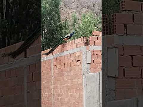 Chubut dique Ameghino argentina en moto #motoviajero #argentina #chubut