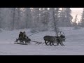 Life Of Ivanna Trailer