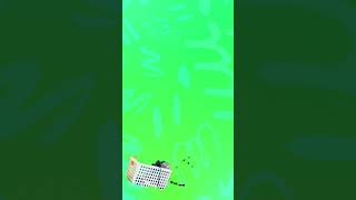 Download lagu ラフマニノフ ピアノ協奏曲第4 mp3 Download lagu ラフマニノフ ピアノ協奏曲第4 mp3