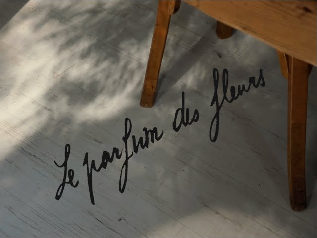 vid-youtube-louise-kowalski