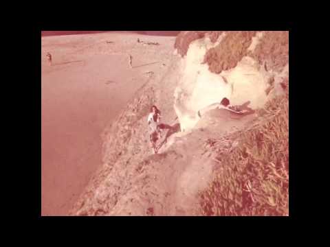 Killin' the Vibe - Ducktails