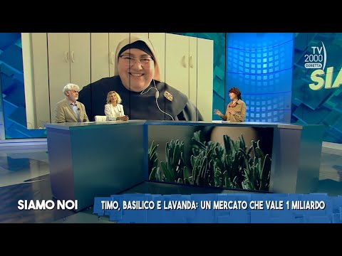 Siamo Noi (TV2000), 26 maggio 2023 - Riconoscere le piante officinali, le proprietà e i benefici