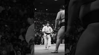 sumo vs