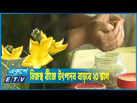 কৃষক নিজেরাই উৎপাদন করতে পারেন হাইব্রিড বীজ