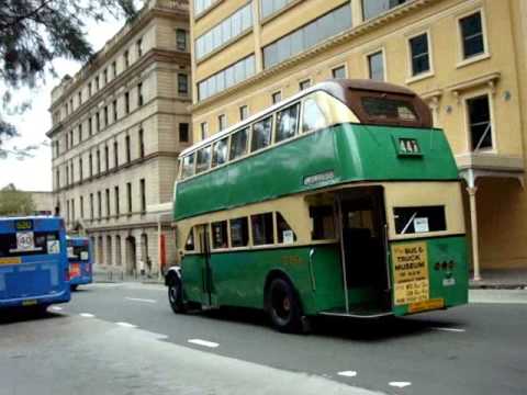 Old Sydney Buses Australia Day