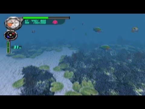 Vidéo Everblue