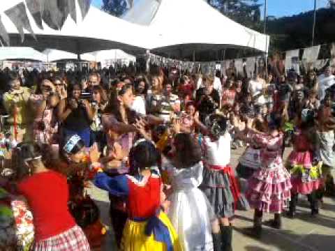 Saci video