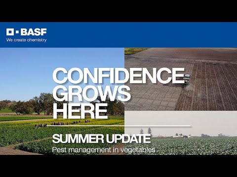 BASF Summer Horticulture Update: Pest Management in Vegetables using Versys insecticide