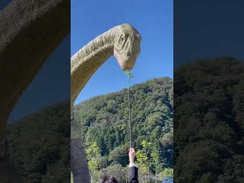 ティタノサウルスの赤ちゃんは早熟だった