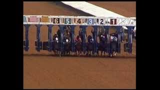 preview picture of video 'May 9, 2012 - Race 2 - Ruidoso Downs Race Track and Casino'