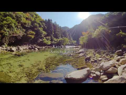 Waterfall, Gorge, and Lake（Akame 48 Waterfalls,Kaochidani（Kaochi　Valley）Lake Shorenji）【8K/Angle 360】