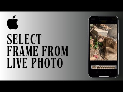How to Select A Frame from Live Photo on iPhone