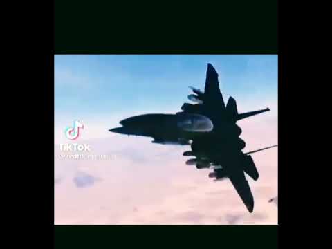 Civitas avangarda - Guzik/ phone video 2022