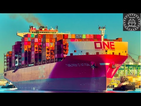 4K SHIPSPOTTING CONTAINER SHIPS AT THE PORT OF LOS ANGELES - December 2024