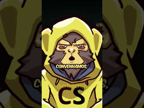 beginner in programming should focus on the basics #programming #programmer