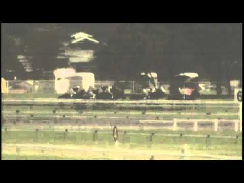 2007 - Inglis Sires' Produce Stakes - Camarilla