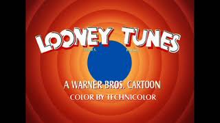 LOONEY TUNES OPENING 24