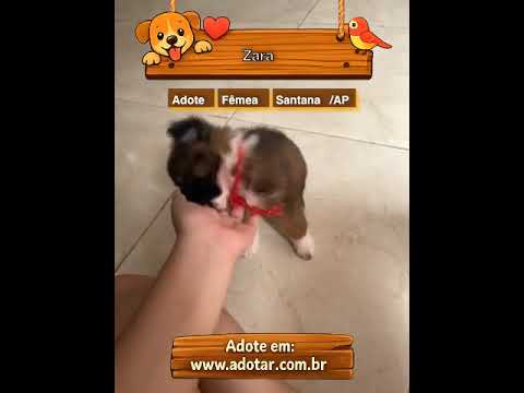 Vídeo de Zara 
