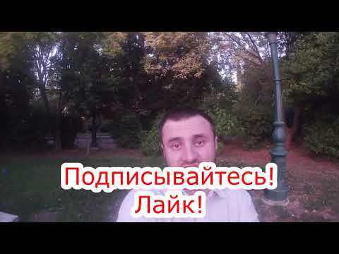 НЬЮКАСЛ - АРСЕНАЛ 11.08.19 16:00 0-1---/Прогнозы на АПЛ/Прогнозы и ставки на футбол