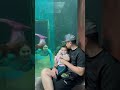 Hebat Dia Bernafas Beby Maembong Jadi Duyung Bikin Netizen Tergamam