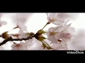 Sarfaroshi Ki Tamanna Ab Humare Dil Me HBaba Ramdev Mp3 Bhajan