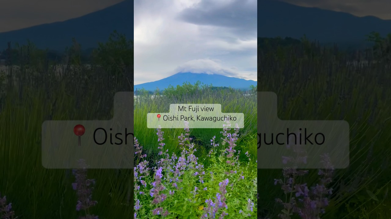 YouTube Short thumbnail