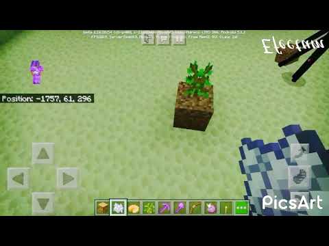 #Minecraft Hack In End City