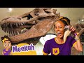 Meekah Learns About Dinosaurs At The Natural History Museum Meekah Full Episodes