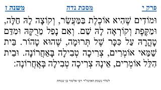 מסכת נדה פרק י משנה ז