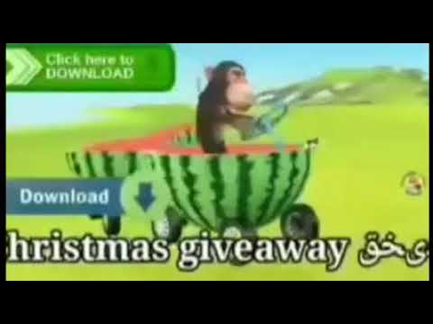 Haha monkey india lol 987