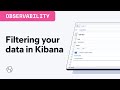 Filtering Your Data In Kibana